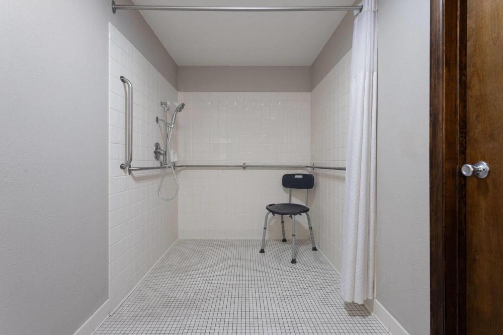 King Room with Roll-in Shower - Mobility Access/Non-Smoking interior